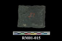 藏品(粘板岩)的圖片